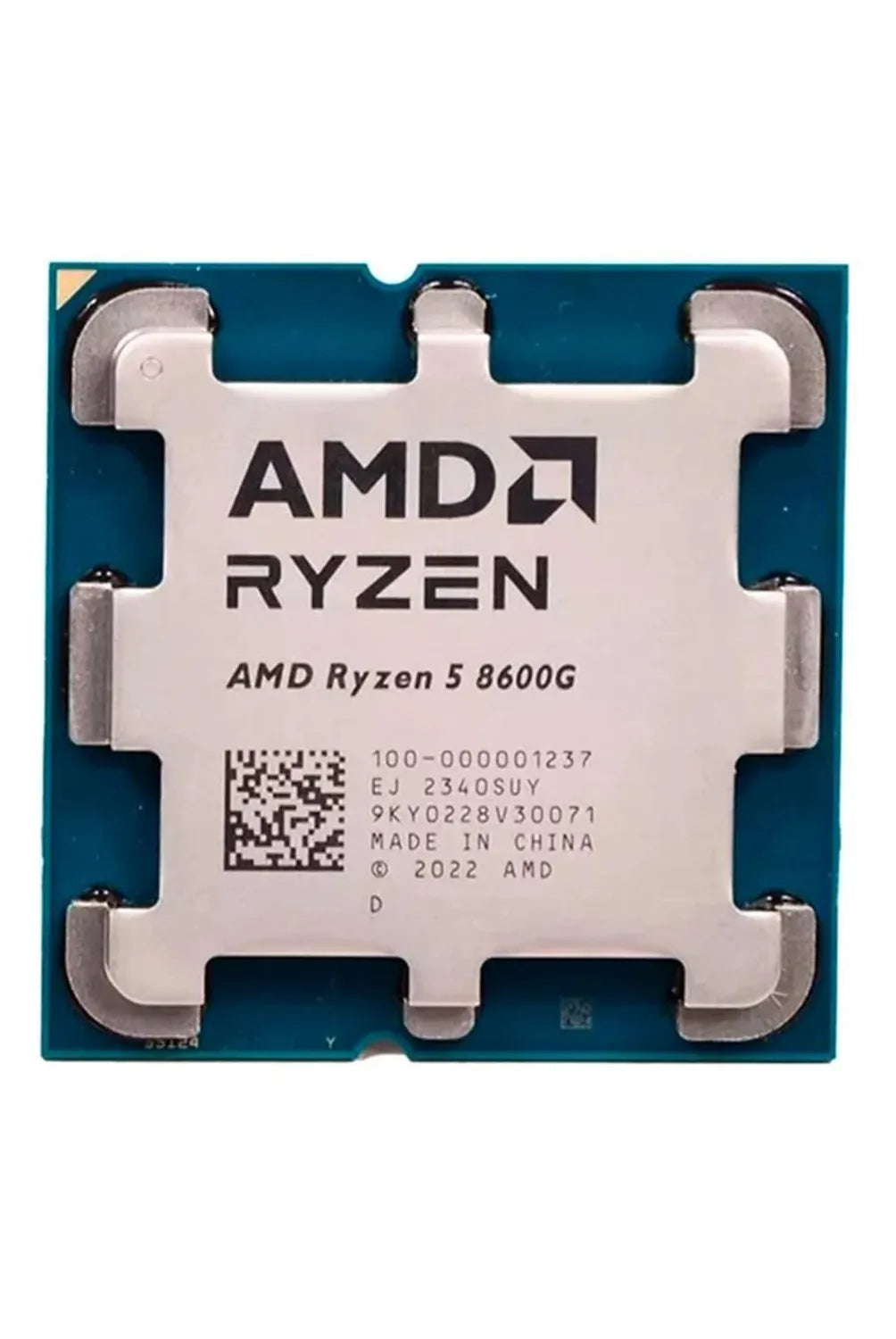 AMD Ryzen 5 8600G AM5 Radeon Graphics